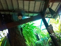 大堂-自然餐厅(Phuket)
