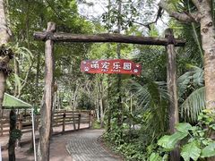 -呀诺达热带雨林
