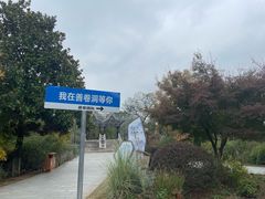 -善卷洞风景区