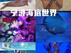 -宁波野生动物园