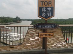 -东寨港红树林旅游区