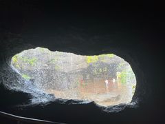 -新加坡飞禽公园