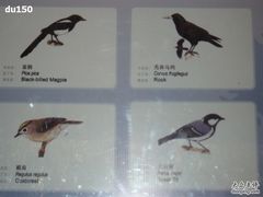 -北京麋鹿生态实验中心