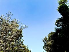 -河南省黄河迎宾馆