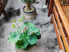 -三只耳火锅(宽窄巷子店)
