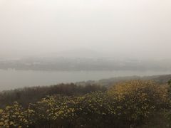 -羊山湖公园