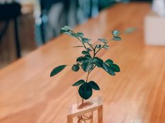 -WATER CAFE(广厦店)