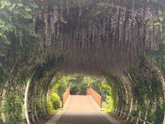 -同里国家湿地公园
