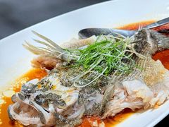 -曼格纳·曼芯馆(杨浦店)