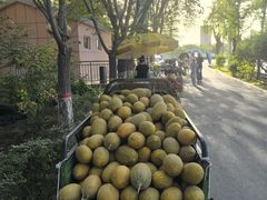 -哈密回王府景区