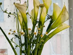 -宝库女装店(绿地缤纷广场店)