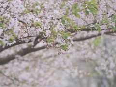 -龙美术馆(西岸馆)