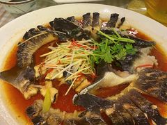 -京北渔家傲