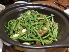 -食欲老院子荆芥疙瘩汤(经五路店)
