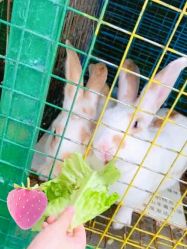 -可可天空农场(中大店)