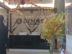 -DEM缔怡美科技美容
