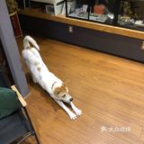 南海意库创意咖啡厅☕️