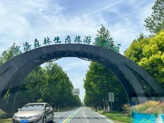 -黄海国家森林公园