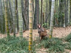 -苏州环秀晓筑养生度假村