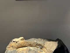 -中国地质博物馆