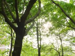 -闽南师范大学(江滨校区)