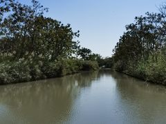 -大湾区中央湿地公园
