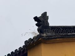 -太平天国侍王府