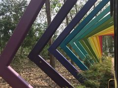 -合肥滨湖国家森林公园