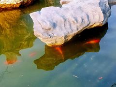 -七宝老街-闵行市民文化广场