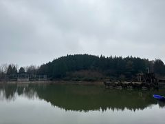 -四明山国家森林公园