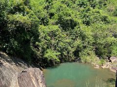 -广州白江湖森林公园