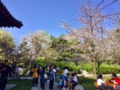 -西安青龙寺遗址景区