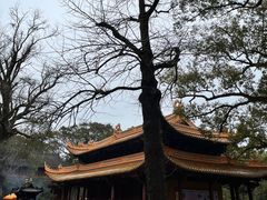 -普陀山风景名胜区-法雨禅寺