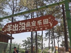 -大塘金香草谷