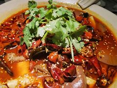 -辛香汇·现炒川菜(淮海路百盛店)