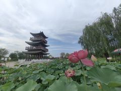-白洋淀景区