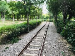 -西青郊野公园