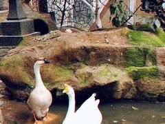 -竹吟山房