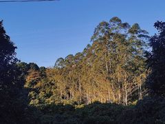 -广州市帽峰山景区