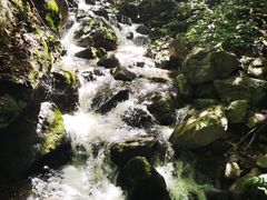 -青峰峡国家森林公园