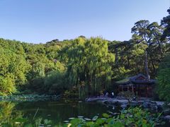 -香山公园