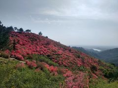 -木兰云雾山