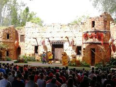 -奥兰多迪士尼动物王国乐园