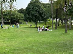 -南宁南湖公园