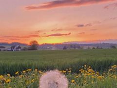 -君之狮子山·轻糖烘焙(松江印象城店)