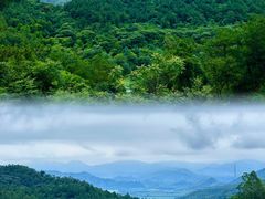 -广州白江湖森林公园