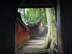 -青城山