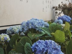 -寂照庵