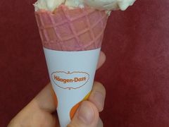 -哈根达斯(绍兴银泰店)