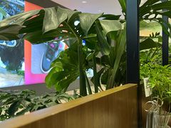-THE WOODS 简餐 (国贸商城店)